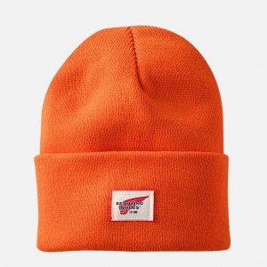 Red Wing Logo Knit Hüte | 1420EGZLY