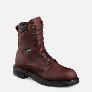 Red Wing SuperSole® 2.0 Arbeitsstiefel Herren | 0178PVUHS