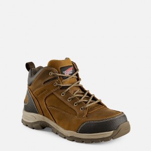 Red Wing TruHiker Arbeitsstiefel Herren | 3964CPBZM