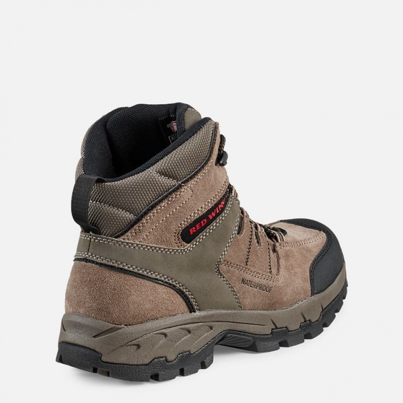 Red Wing TruHiker Arbeitsstiefel Herren | 1204KOQJN