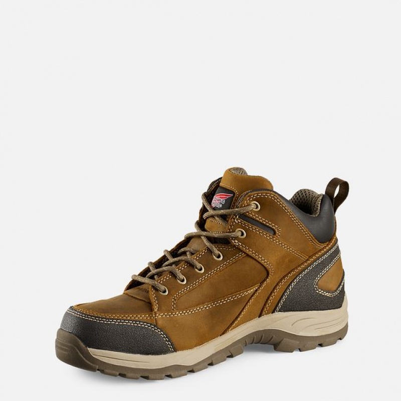 Red Wing TruHiker Arbeitsstiefel Herren | 3964CPBZM